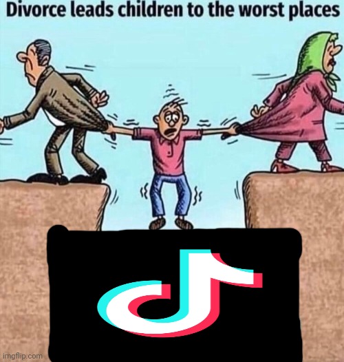 Tiktok | image tagged in divorce leads children to the worst places | made w/ Imgflip meme maker