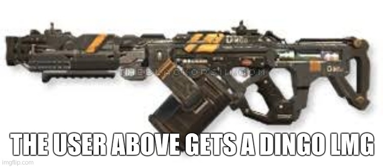 dingo | THE USER ABOVE GETS A DINGO LMG | image tagged in dingo | made w/ Imgflip meme maker