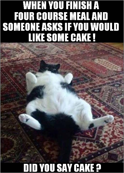 There's Always Room For More ! | WHEN YOU FINISH A
FOUR COURSE MEAL AND SOMEONE ASKS IF YOU WOULD
 LIKE SOME CAKE ! DID YOU SAY CAKE ? | image tagged in cats,greedy,meal,cake | made w/ Imgflip meme maker