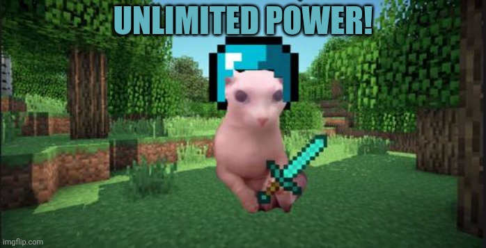 Minecraft bingus | UNLIMITED POWER! | image tagged in minecraft bingus | made w/ Imgflip meme maker