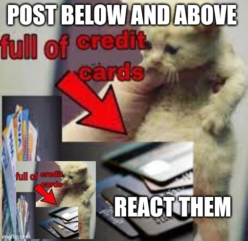 cat full of credit cards | POST BELOW AND ABOVE; REACT THEM | image tagged in cat full of credit cards | made w/ Imgflip meme maker