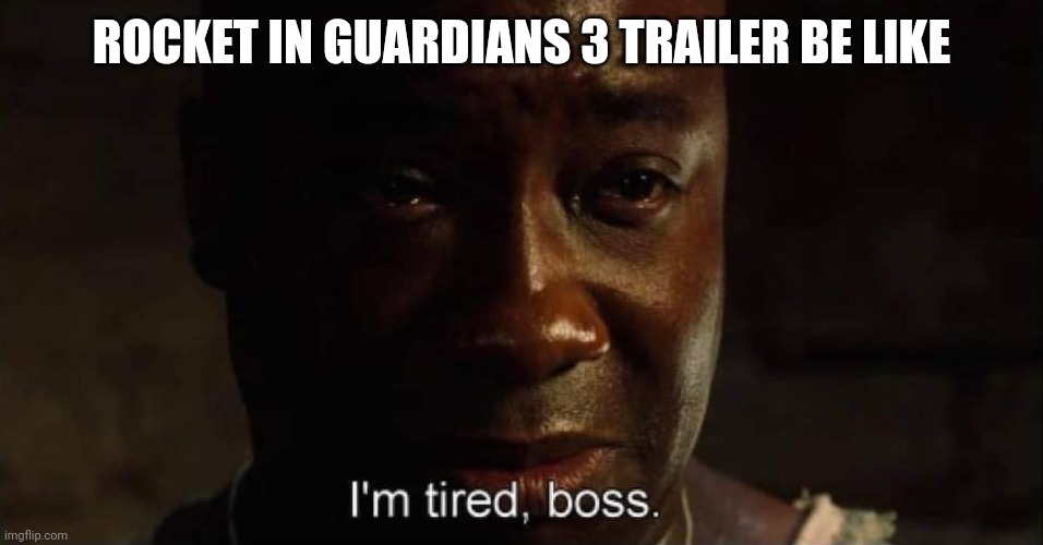 I'm tired boss | ROCKET IN GUARDIANS 3 TRAILER BE LIKE | image tagged in i'm tired boss | made w/ Imgflip meme maker