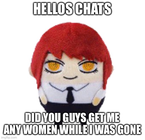 Makima plush | HELLOS CHATS; DID YOU GUYS GET ME ANY WOMEN WHILE I WAS GONE | image tagged in makima plush | made w/ Imgflip meme maker