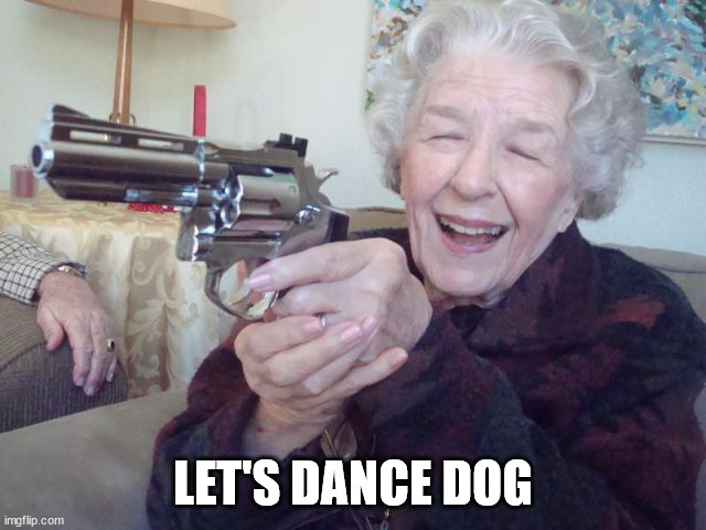 LET'S DANCE DOG | made w/ Imgflip meme maker