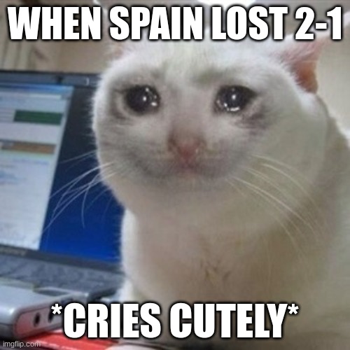 Crying cat | WHEN SPAIN LOST 2-1; *CRIES CUTELY* | image tagged in crying cat | made w/ Imgflip meme maker