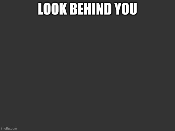 See what is behind you | LOOK BEHIND YOU; IF YOU LOOKED BEHIND THEN YOUR A GAY FURRY WHO LIKES POLITICS | made w/ Imgflip meme maker