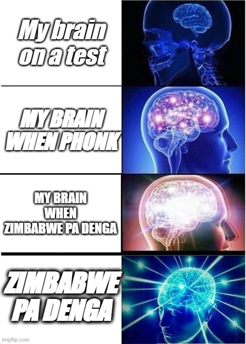 Expanding Brain Meme | My brain on a test; MY BRAIN WHEN PHONK; MY BRAIN WHEN ZIMBABWE PA DENGA; ZIMBABWE PA DENGA | image tagged in memes,expanding brain | made w/ Imgflip meme maker