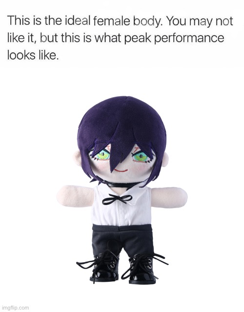 image tagged in ideal female body,rize plush | made w/ Imgflip meme maker