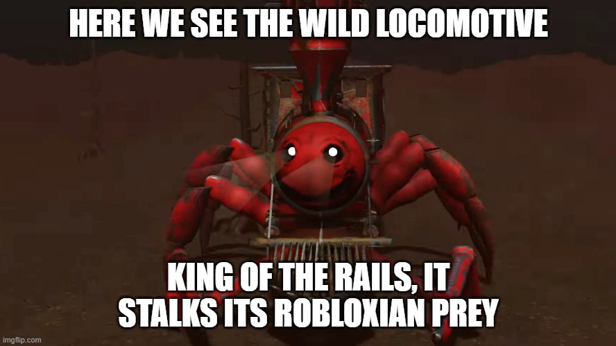 Here we see Edward | HERE WE SEE THE WILD LOCOMOTIVE; KING OF THE RAILS, IT STALKS ITS ROBLOXIAN PREY | image tagged in memes,trains | made w/ Imgflip meme maker