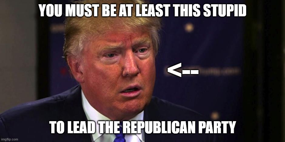 Sad Trump | YOU MUST BE AT LEAST THIS STUPID; <--; TO LEAD THE REPUBLICAN PARTY | image tagged in sad trump | made w/ Imgflip meme maker