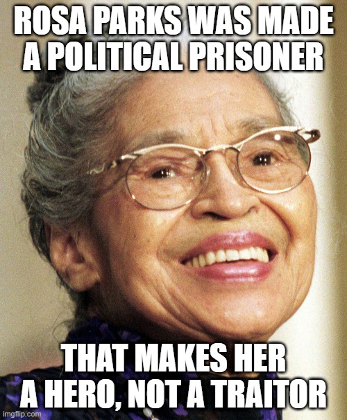 Rosa Parks | ROSA PARKS WAS MADE A POLITICAL PRISONER; THAT MAKES HER A HERO, NOT A TRAITOR | image tagged in hero,american hero | made w/ Imgflip meme maker