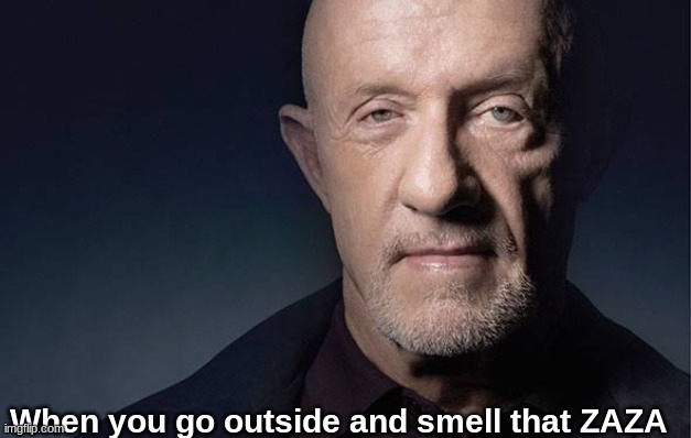 Kid named Mike Ehrmantraut | When you go outside and smell that ZAZA | image tagged in kid named,kid named finger,breaking bad,fun,better call saul,antimeme | made w/ Imgflip meme maker