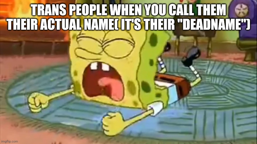 Then they post about it on twitter like your hitler | TRANS PEOPLE WHEN YOU CALL THEM THEIR ACTUAL NAME( IT'S THEIR "DEADNAME") | image tagged in spongebob temper tantrum | made w/ Imgflip meme maker