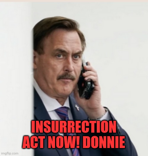 MyPillow | INSURRECTION ACT NOW! DONNIE | image tagged in mypillow | made w/ Imgflip meme maker