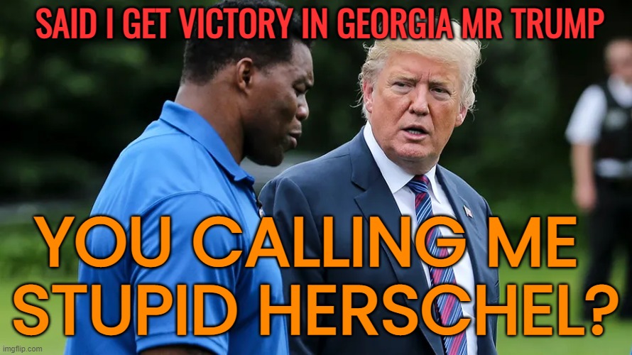 Herschel Walker Trump | SAID I GET VICTORY IN GEORGIA MR TRUMP YOU CALLING ME 
STUPID HERSCHEL? | image tagged in herschel walker trump | made w/ Imgflip meme maker