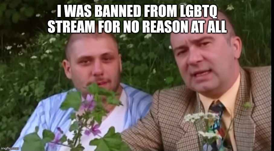 I might be making homophobic jokes but iddnt do nothing wrong there⁹ | I WAS BANNED FROM LGBTQ STREAM FOR NO REASON AT ALL | image tagged in green screen bois | made w/ Imgflip meme maker