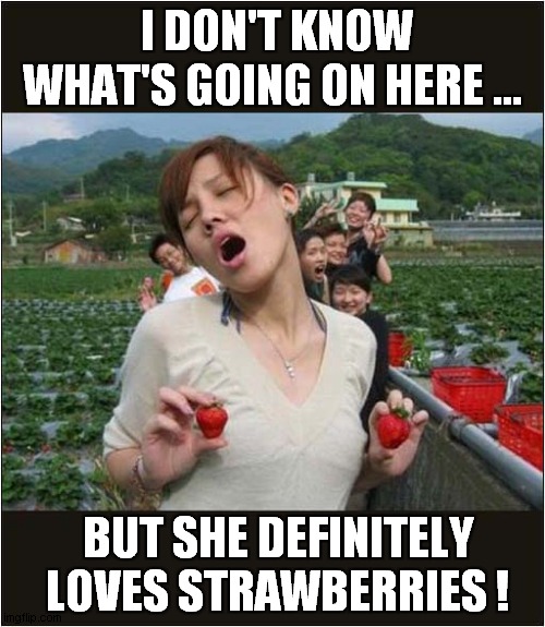 Fruity Farming Fun ! | I DON'T KNOW WHAT'S GOING ON HERE ... BUT SHE DEFINITELY LOVES STRAWBERRIES ! | image tagged in strawberries,farming,fun | made w/ Imgflip meme maker