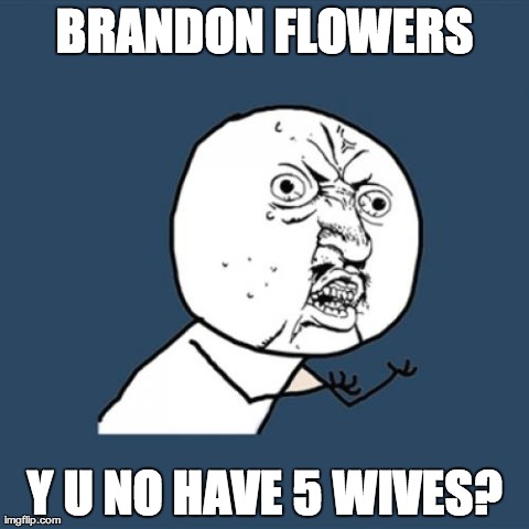 Y U No Meme | BRANDON FLOWERS Y U NO HAVE 5 WIVES? | image tagged in memes,y u no | made w/ Imgflip meme maker