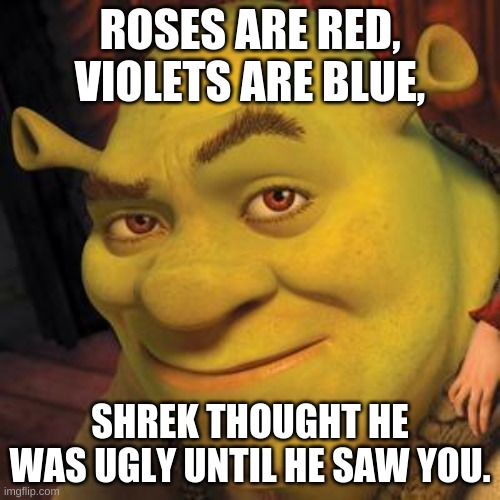 damn | ROSES ARE RED, VIOLETS ARE BLUE, SHREK THOUGHT HE WAS UGLY UNTIL HE SAW YOU. | image tagged in shrek sexy face | made w/ Imgflip meme maker