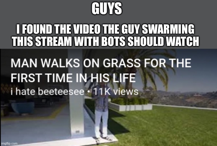What a jerk | GUYS; I FOUND THE VIDEO THE GUY SWARMING THIS STREAM WITH BOTS SHOULD WATCH | image tagged in man walks on grass for the first time in his life,funny,not my template | made w/ Imgflip meme maker