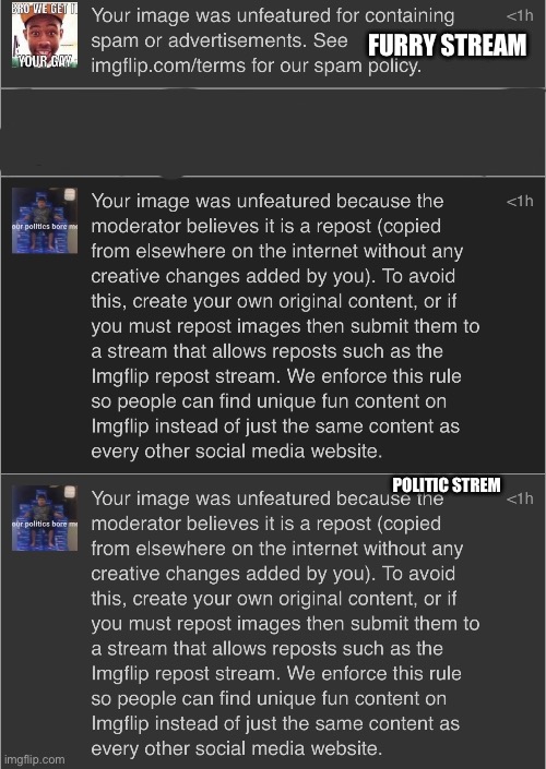 Common L | FURRY STREAM; POLITIC STREM | made w/ Imgflip meme maker