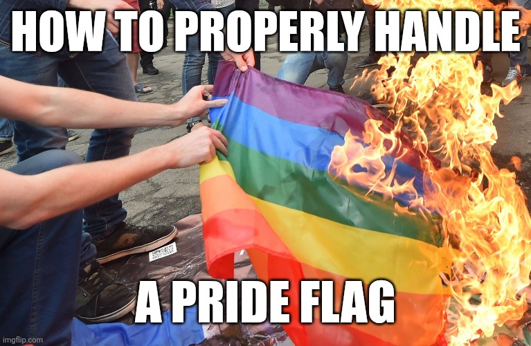 This is how it's done. | HOW TO PROPERLY HANDLE; A PRIDE FLAG | image tagged in memes | made w/ Imgflip meme maker