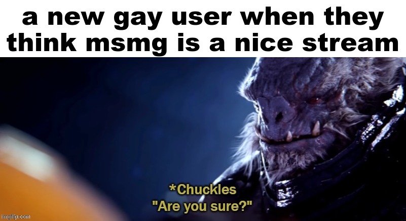 are you sure | a new gay user when they think msmg is a nice stream | image tagged in are you sure | made w/ Imgflip meme maker