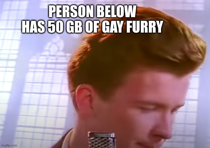 Im sorry what | PERSON BELOW HAS 50 GB OF GAY FURRY | image tagged in im sorry what | made w/ Imgflip meme maker