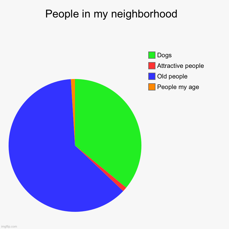 People in my neighborhood  | People my age, Old people, Attractive people, Dogs | image tagged in charts,pie charts | made w/ Imgflip chart maker