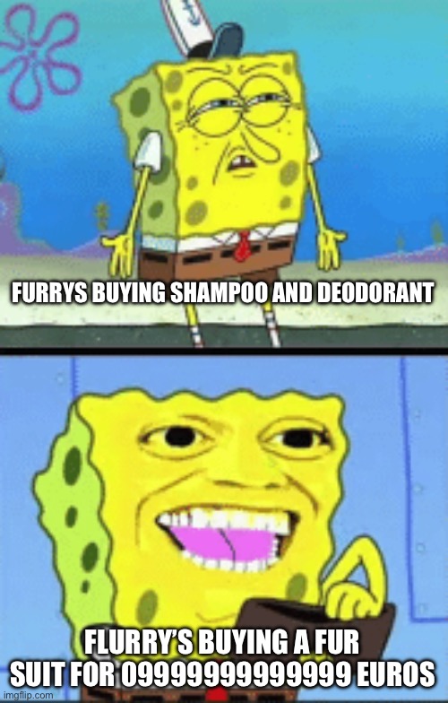 Spongebob money | FURRYS BUYING SHAMPOO AND DEODORANT; FLURRY’S BUYING A FUR SUIT FOR 09999999999999 EUROS | image tagged in spongebob money | made w/ Imgflip meme maker