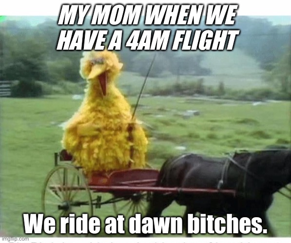 Big bird in carriage | MY MOM WHEN WE HAVE A 4AM FLIGHT; We ride at dawn bitches. | image tagged in big bird in carriage,truth | made w/ Imgflip meme maker