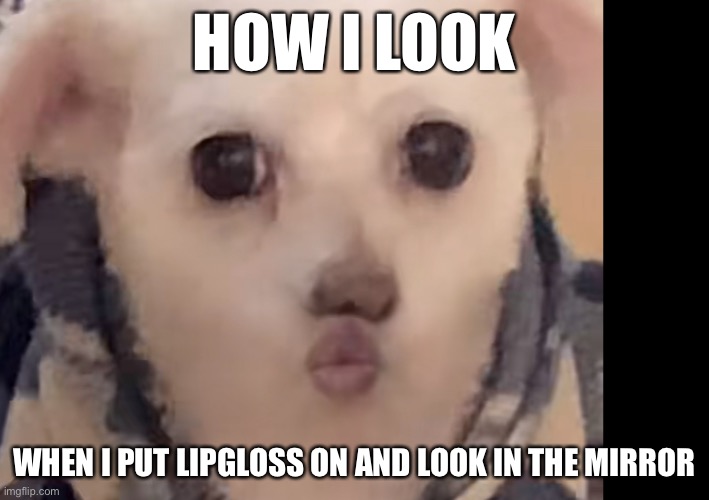 hahaha | HOW I LOOK; WHEN I PUT LIPGLOSS ON AND LOOK IN THE MIRROR | image tagged in memes | made w/ Imgflip meme maker