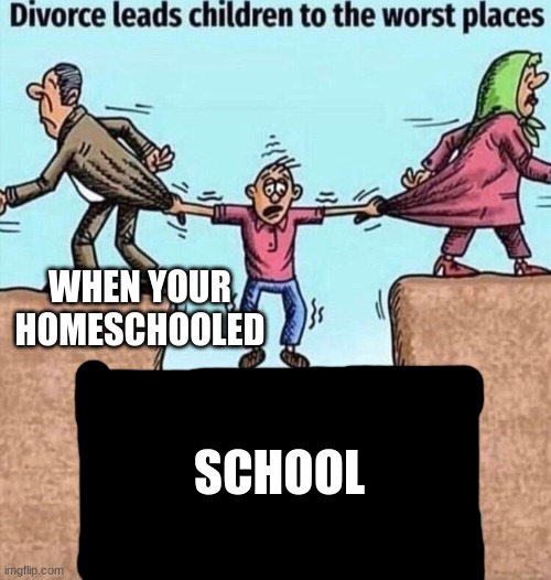 Imagine going to school | WHEN YOUR HOMESCHOOLED; SCHOOL | image tagged in divorce leads children to the worst places | made w/ Imgflip meme maker