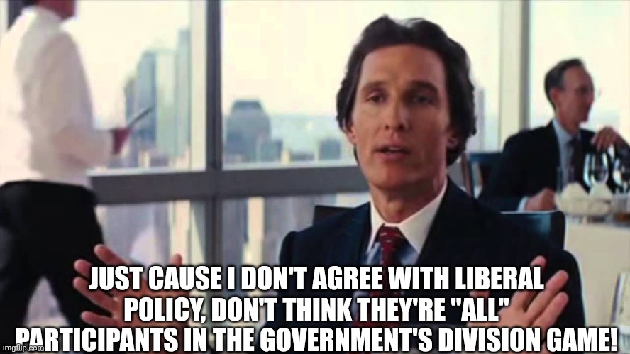 JUST CAUSE I DON'T AGREE WITH LIBERAL POLICY, DON'T THINK THEY'RE "ALL" PARTICIPANTS IN THE GOVERNMENT'S DIVISION GAME! | made w/ Imgflip meme maker