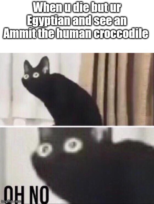 Never die in ancient egypt | When u die but ur Egyptian and see an Ammit the human croccodile | image tagged in oh no cat | made w/ Imgflip meme maker
