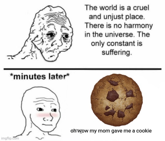 how to spot a 5 yo user | oh wow my mom gave me a cookie | image tagged in minutes later omg | made w/ Imgflip meme maker