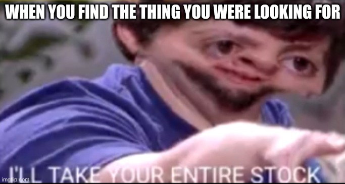 my life savings | WHEN YOU FIND THE THING YOU WERE LOOKING FOR | image tagged in i will take your entire stock | made w/ Imgflip meme maker