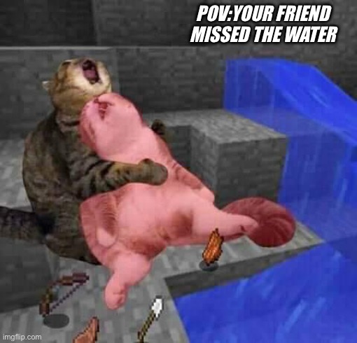 Dead minecraft cat meme | POV:YOUR FRIEND MISSED THE WATER | image tagged in dead minecraft cat meme | made w/ Imgflip meme maker