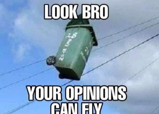 Look bro your opinions can fly Blank Meme Template