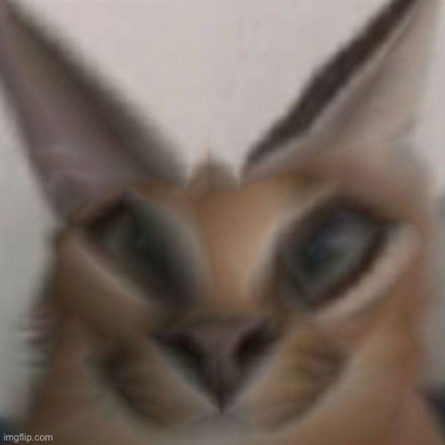 ac1d face reveal (real) | made w/ Imgflip meme maker