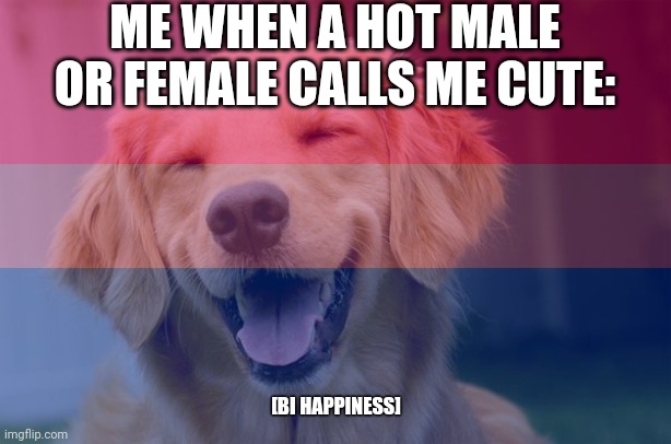 My life as a bi male in a nutshell | ME WHEN A HOT MALE OR FEMALE CALLS ME CUTE:; [BI HAPPINESS] | made w/ Imgflip meme maker