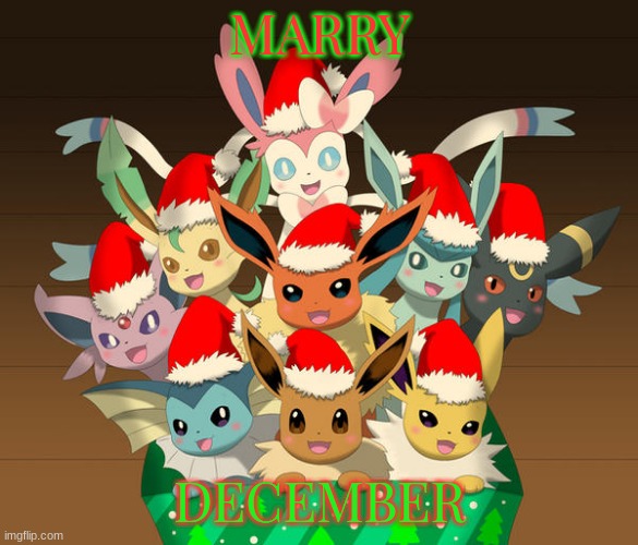 Marry December | MARRY; DECEMBER | image tagged in eeveelutions,marry december,fun | made w/ Imgflip meme maker