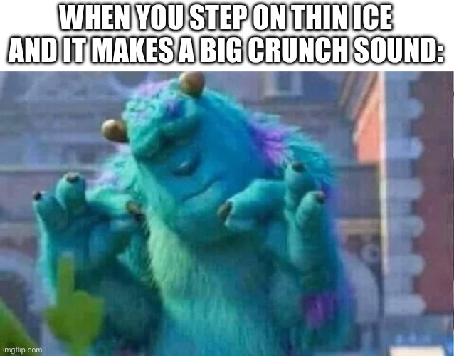 This happened to me at least once: | WHEN YOU STEP ON THIN ICE AND IT MAKES A BIG CRUNCH SOUND: | image tagged in sully shutdown | made w/ Imgflip meme maker