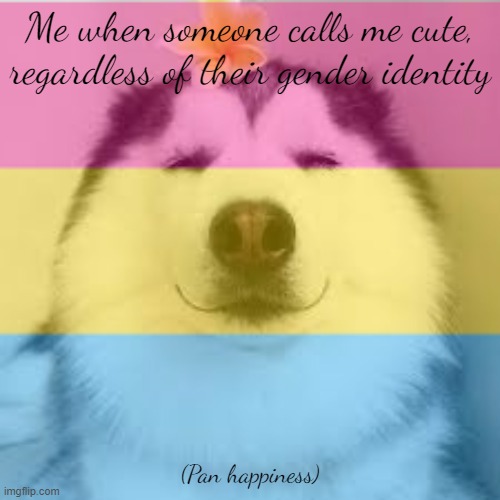 Pan Husko Happiness (inspired by The_Michael_Afton) | Me when someone calls me cute, regardless of their gender identity; (Pan happiness) | made w/ Imgflip meme maker