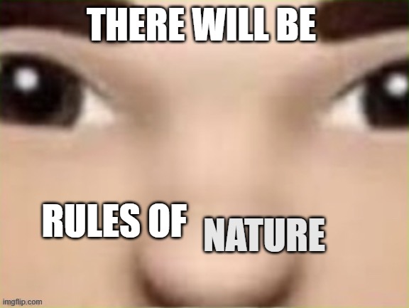 r | THERE WILL BE; RULES OF; NATURE | image tagged in r | made w/ Imgflip meme maker