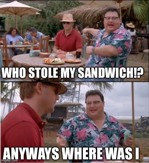 See Nobody Cares | WHO STOLE MY SANDWICH!? ANYWAYS WHERE WAS I | image tagged in memes,see nobody cares | made w/ Imgflip meme maker