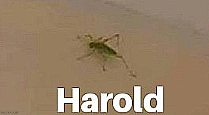 haro,d | made w/ Imgflip meme maker