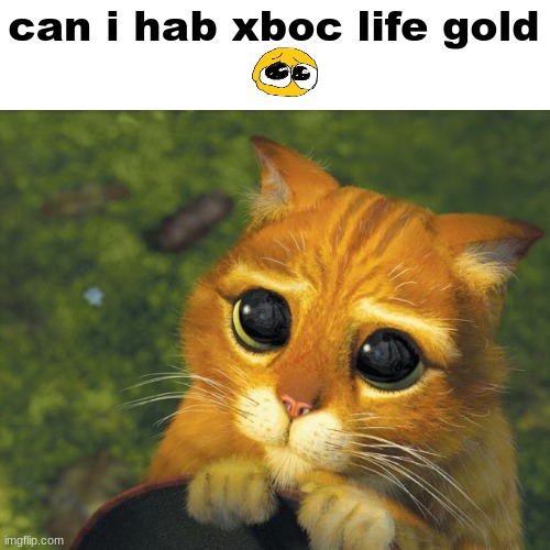 xboc life gold? | can i hab xboc life gold | image tagged in pleading puss in boots | made w/ Imgflip meme maker