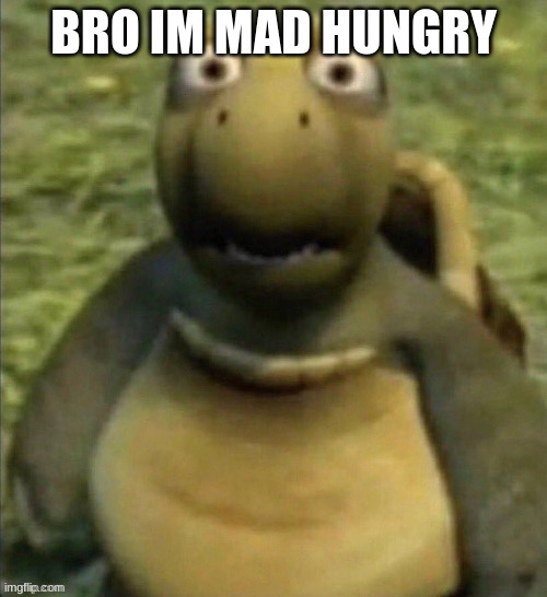 Distressed Vern | BRO IM MAD HUNGRY | image tagged in bruh | made w/ Imgflip meme maker