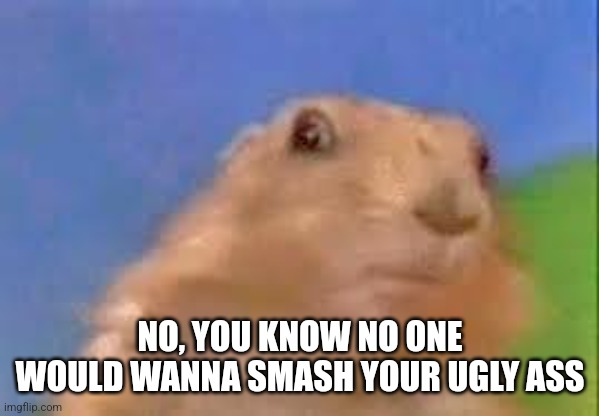 Dramatic Chipmunk | NO, YOU KNOW NO ONE WOULD WANNA SMASH YOUR UGLY ASS | image tagged in dramatic chipmunk | made w/ Imgflip meme maker